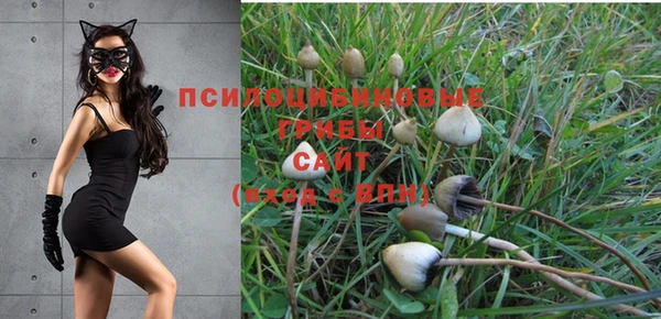 мет Арсеньев