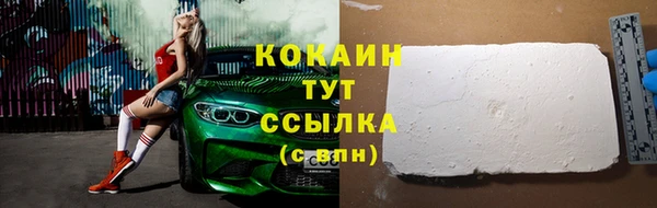 дживик Аркадак