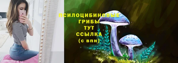 дживик Аркадак