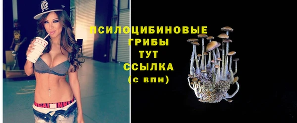 мет Арсеньев