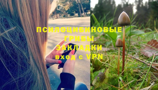PSILOCYBIN Армянск