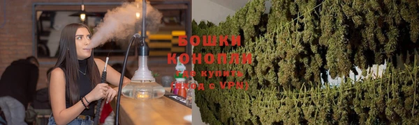дживик Аркадак